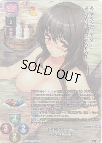 画像1: 【KR仕様】粗雑なカルデア総指令 アリデッド[LO-6308-K] (1)