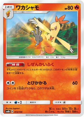 ポケットモンスター　アチャモ各種　計7体 状態A-〕アチャモ【P】{103/XY-P}