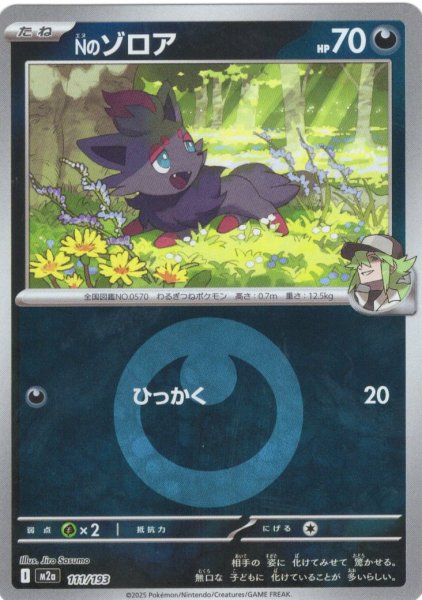 画像1: 【豪華ミラー仕様(悪エネルギー】Nのゾロア[PKM_M2a_111/193]※商品説明必読※ (1)