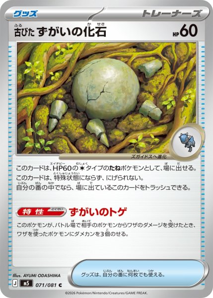 画像1: 古びたずがいの化石[PKM_M5_071/081_C]※商品説明必読※ (1)