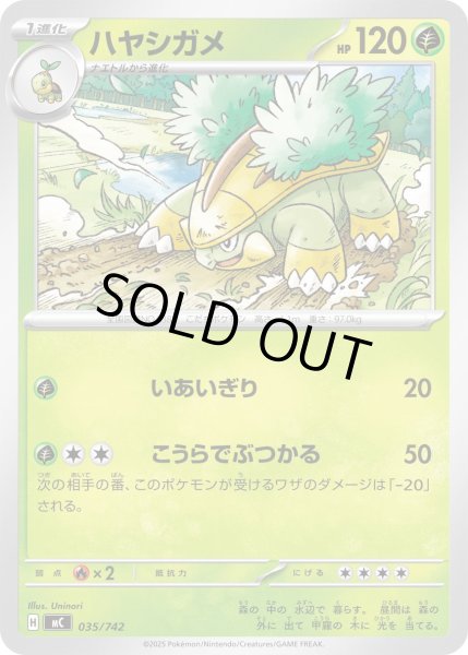 画像1: ハヤシガメ[PKM_MC_035/742]※商品説明必読※ (1)