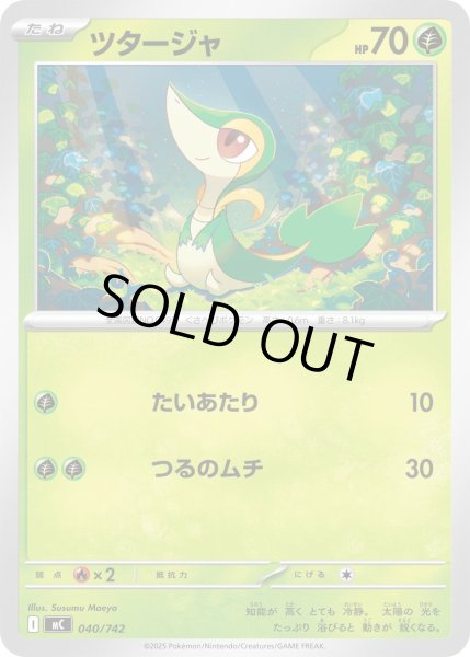 画像1: ツタージャ[PKM_MC_040/742]※商品説明必読※ (1)