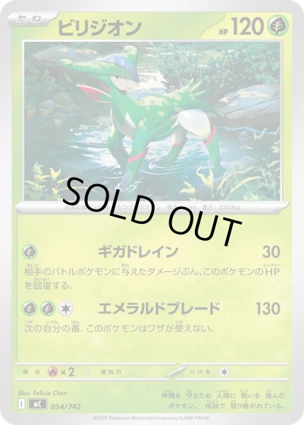 画像1: ビリジオン[PKM_MC_054/742]※商品説明必読※ (1)