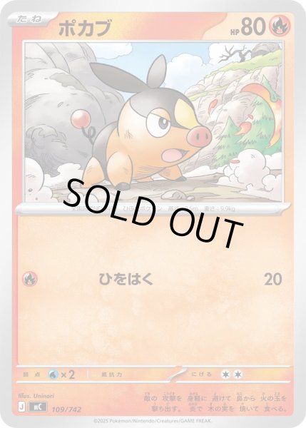 画像1: ポカブ[PKM_MC_109/742]※商品説明必読※ (1)