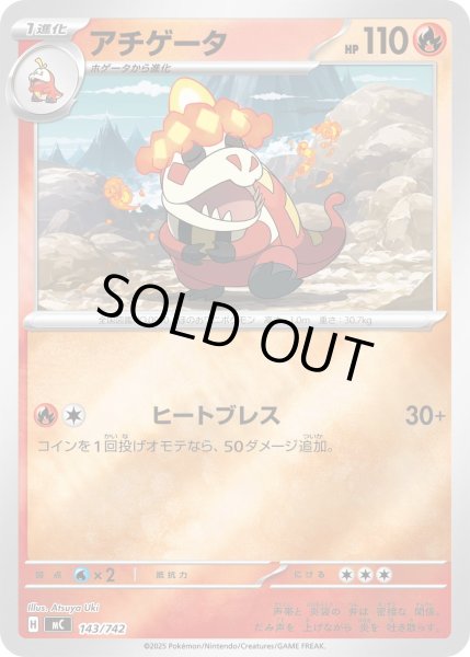 画像1: 【ミラー】アチゲータ[PKM_MC_143/742]※商品説明必読※ (1)