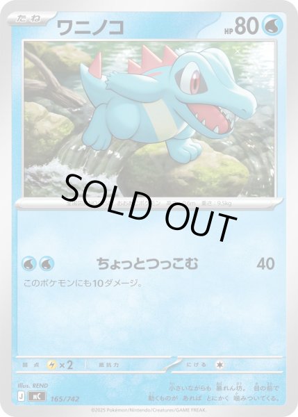 画像1: ワニノコ[PKM_MC_165/742]※商品説明必読※ (1)