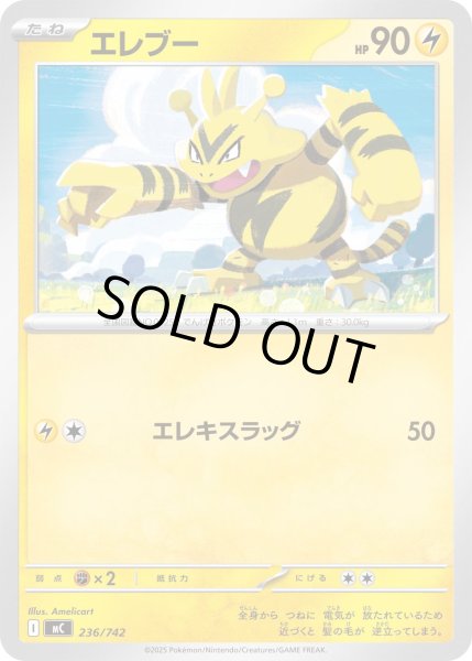 画像1: エレブー[PKM_MC_236/742]※商品説明必読※ (1)