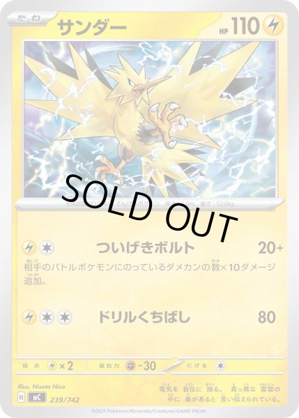 画像1: サンダー[PKM_MC_239/742]※商品説明必読※ (1)