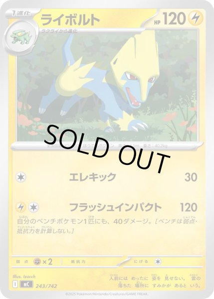 画像1: ライボルト[PKM_MC_243/742]※商品説明必読※ (1)