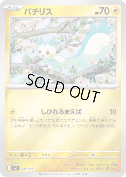 画像1: 【ミラー】パチリス[PKM_MC_247/742]※商品説明必読※ (1)