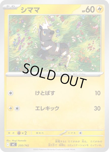 画像1: シママ[PKM_MC_250/742]※商品説明必読※ (1)