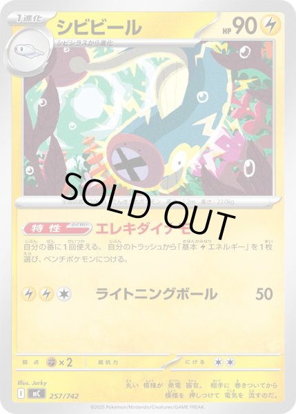 画像1: シビビール[PKM_MC_257/742]※商品説明必読※ (1)