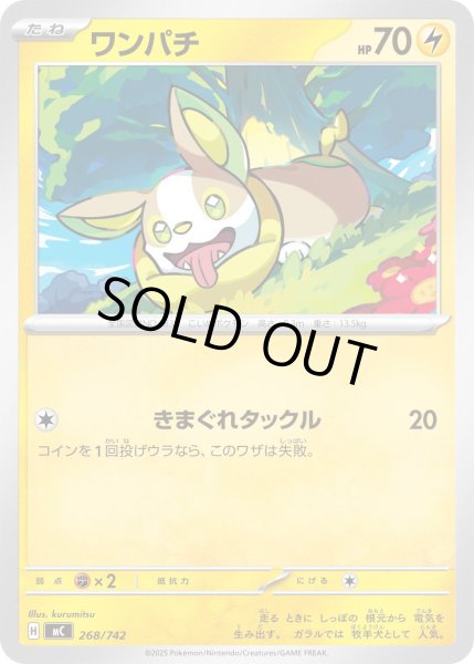 画像1: ワンパチ[PKM_MC_268/742]※商品説明必読※ (1)