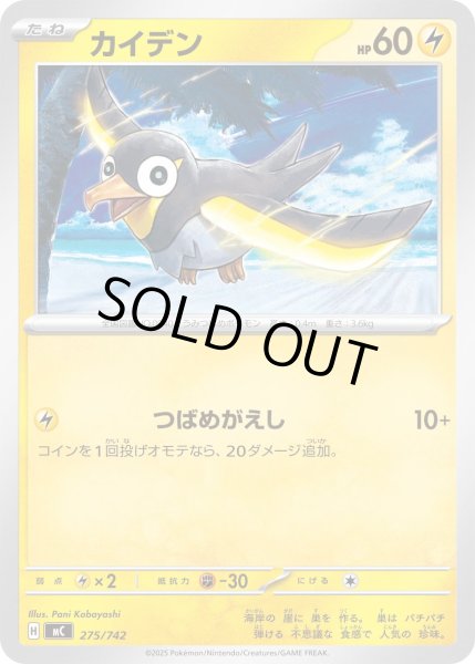 画像1: カイデン[PKM_MC_275/742]※商品説明必読※ (1)