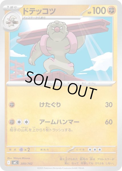 画像1: ドテッコツ[PKM_MC_389/742]※商品説明必読※ (1)