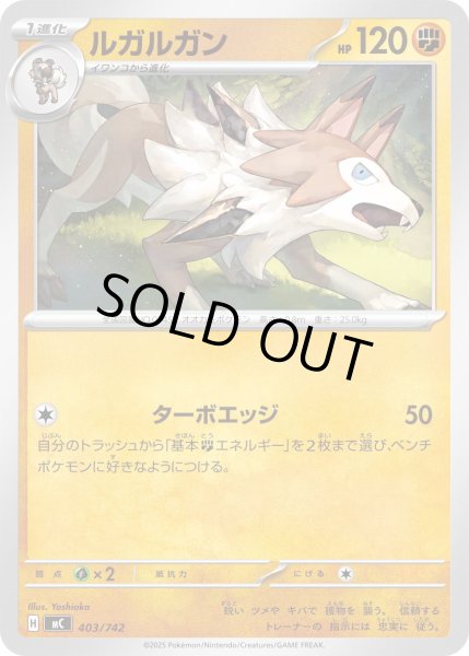 画像1: ルガルガン[PKM_MC_403/742]※商品説明必読※ (1)