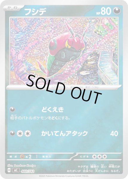 画像1: 【ミラー】フシデ[PKM_MC_460/742]※商品説明必読※ (1)