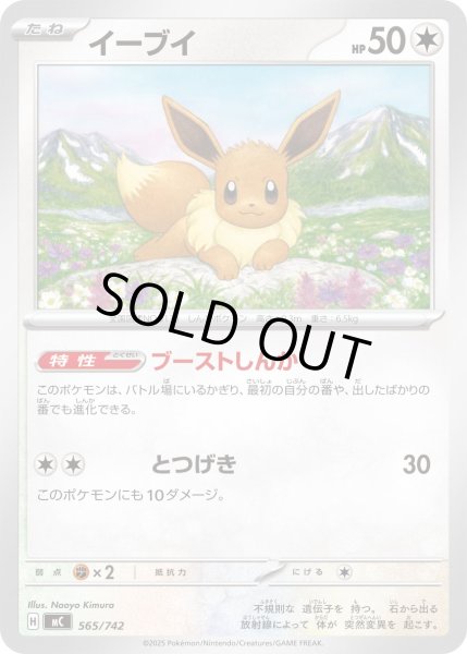 画像1: イーブイ[PKM_MC_565/742]※商品説明必読※ (1)