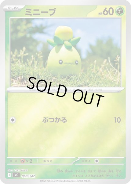 画像1: 【ミラー】ミニーブ[PKM_MC_069/742]※商品説明必読※ (1)