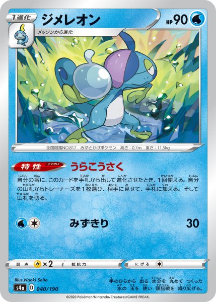 画像1: 【ミラー仕様】ジメレオン[PKM_s4a_40/190] (1)
