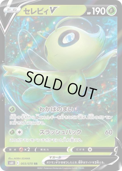 画像1: セレビィV[PKM_s6K_3/70RR] (1)