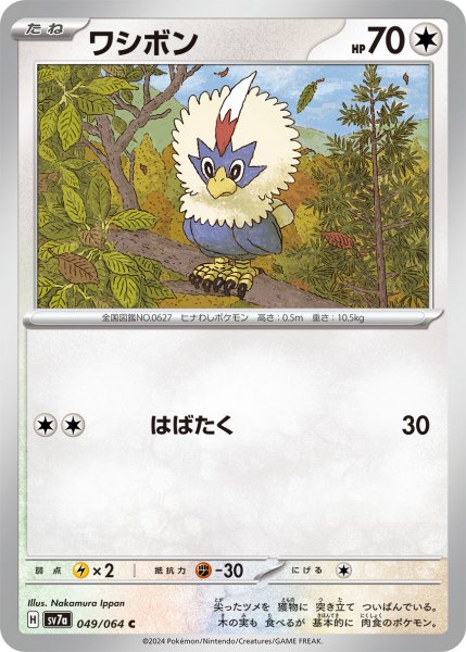 画像1: ワシボン[PKM_sv7a_049/064_C]※商品説明必読※ (1)