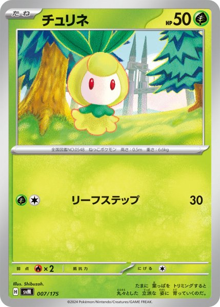 画像1: チュリネ[PKM_svM_007/175]※商品説明必読※ (1)