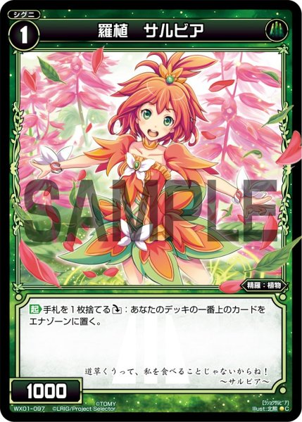 画像1: 羅植 サルビア[WX_01-097_C] (1)