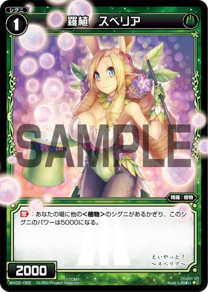 画像1: 羅植 スベリア[WX_02-065_C] (1)