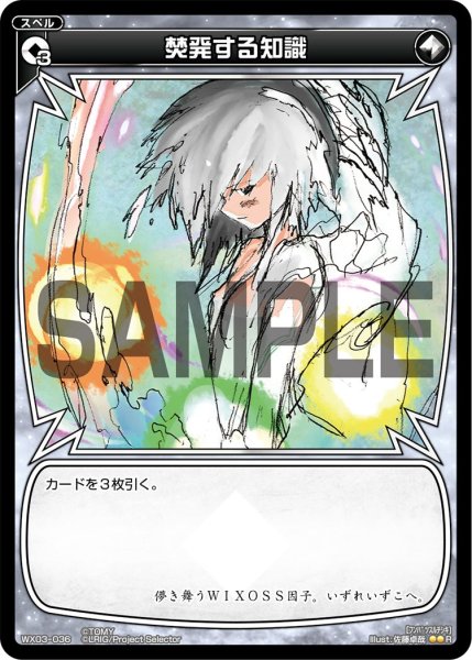 画像1: 焚発する知識[WX_03-036_R] (1)