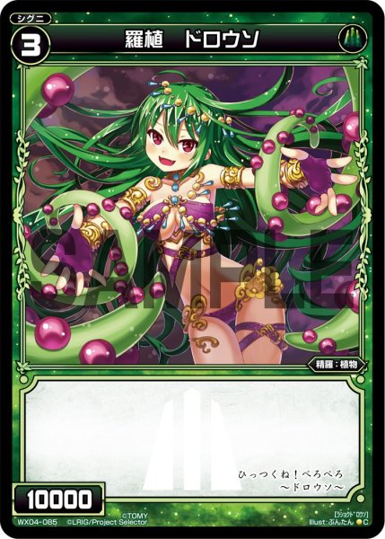 画像1: 羅植 ドロウソ[WX_04-085_C] (1)