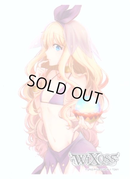 画像1: 【42枚】BOX購入特典スペシャルプロテクト　 リメンバ[WX24_P3_S15] (1)