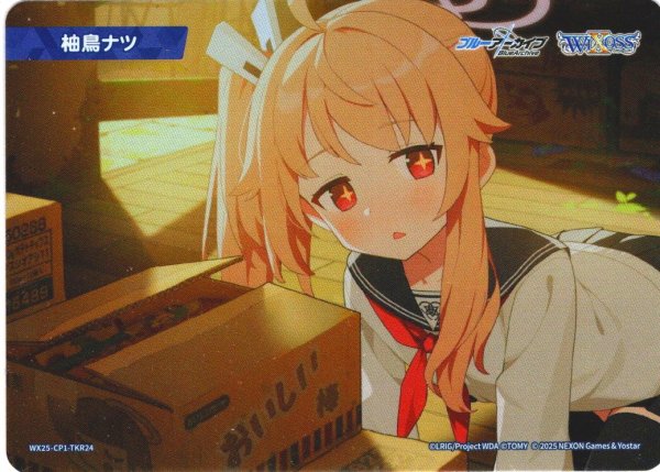 画像1: 柚鳥ナツ[WX25-CP1-TKR24] (1)