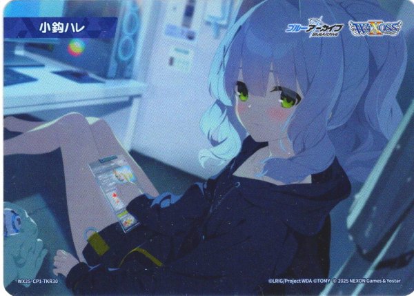 画像1: 小鈎ハレ[WX25-CP1-TKR30] (1)