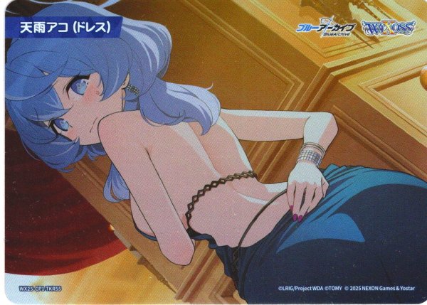 画像1: 天雨アコ(ドレス)[WX25-CP1-TKR55] (1)