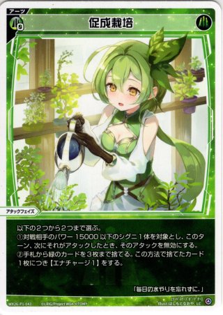 小鳥遊ホシノ(水着)[水上支援][WX25-CD1-004_ST] - マスターズ