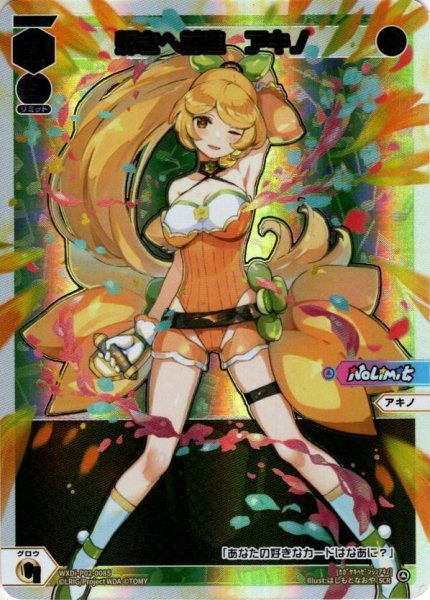画像1: 【SECRET】輝きへ前進　アキノ[WXDi_P02-008S] (1)