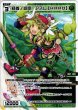 画像1: 緑参ノ遊姫　アスレ【ＨＡＲＤ】[WXDi_P11-TK04] (1)