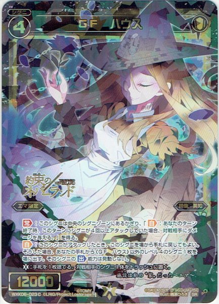 画像1: GF ハウス[WXK_06-023cSR] (1)