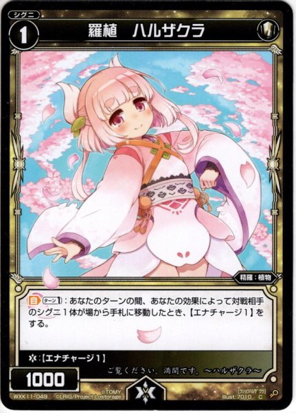 画像1: 羅植 ハルザクラ[WXK_11-049C] (1)