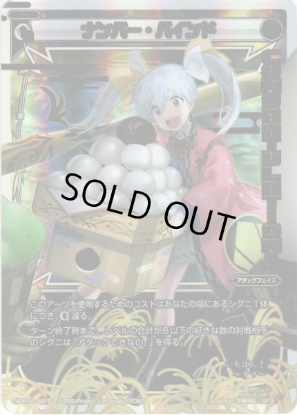 画像1: 【ホイル仕様】ナンバー・バインド[WX_SPK16-6B] (1)