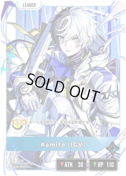 画像1: Kamito (IGV)[XS_BP05-090/80_LRP] (1)