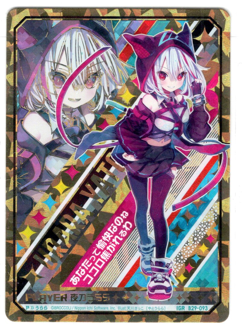 『ねはん』 格安，高品質】 5853 「塊根植物」パキポディウム グラキリス L